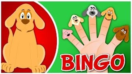 The Finger Family Dog Family Nursery Rhyme | Finger Family Songs | Bingo Finger Family