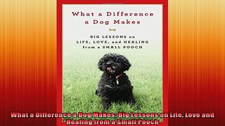 What a Difference a Dog Makes Big Lessons on Life Love and Healing from a Small Pooch