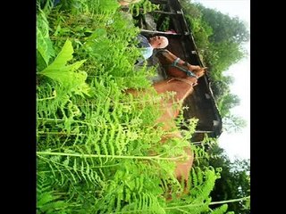 ÇOK GÜZEL BİR KARADENİZ MÜZİĞİ