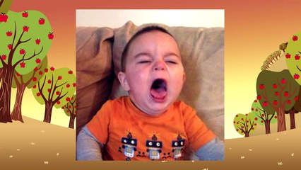 Glass of Water - You Dont Know What Censorship Means