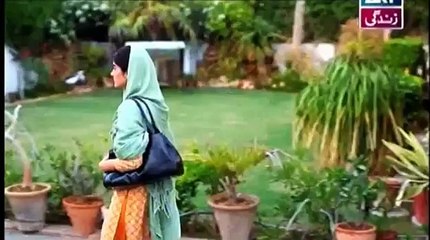 Bay Gunnah Episode 52 ARY Zindagi Drama 13th December 2015