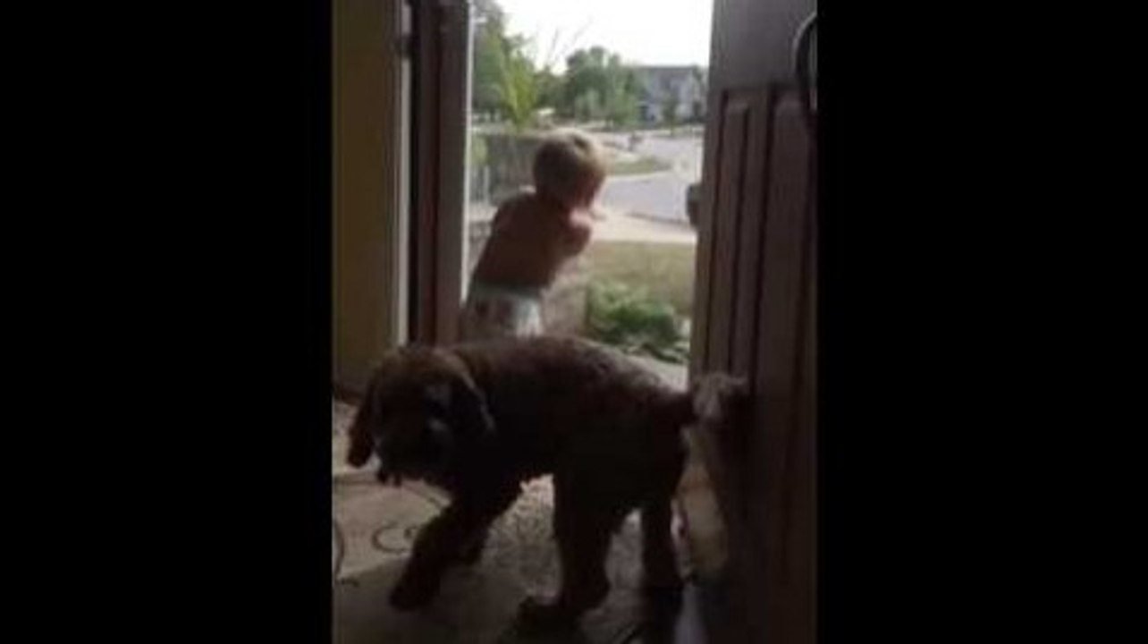 Un bébé et un chien contents de voir papa rentrer à la maison