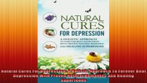 Natural Cures For Depression A Holistic Approach To Forever Beat Depression With Proven