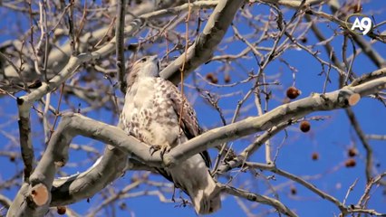 Evrende her an her saniye yaşanan mucizeler