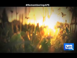 New naghma - Tribute to peshawer martyars 2015