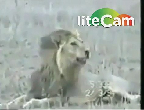 how death cames-must watch