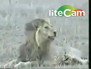 how death cames-must watch
