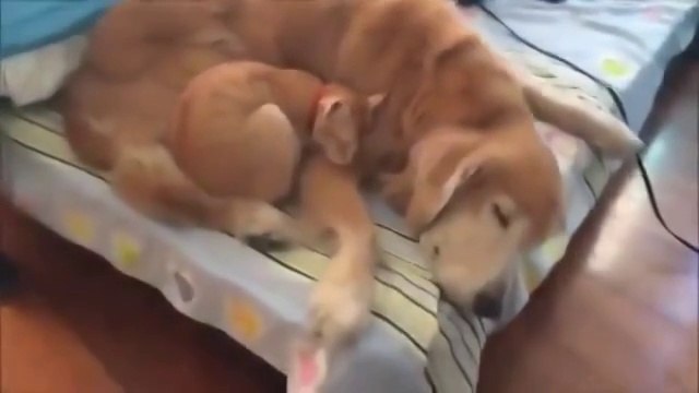 А можно ты будешь моей мамой. Трогательно до слез.