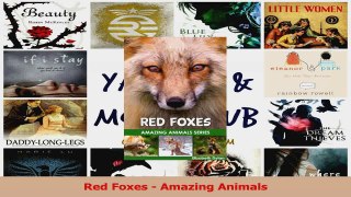 PDF Download  Red Foxes  Amazing Animals Download Full Ebook