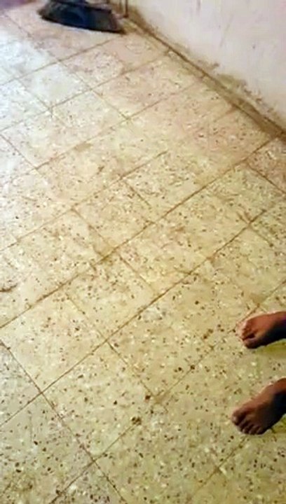 VID-funny.com,