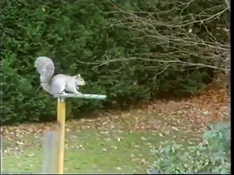 VID-funny.com
