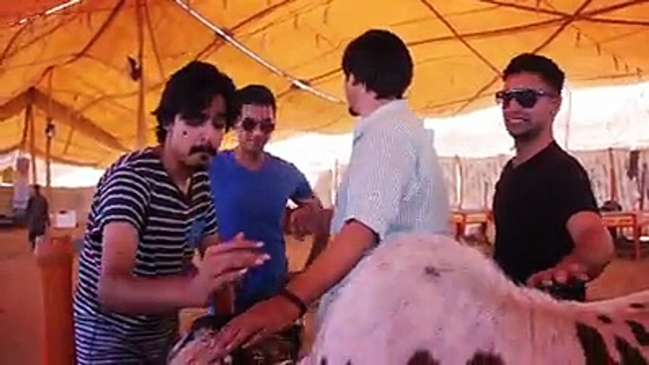 VID-funny.com