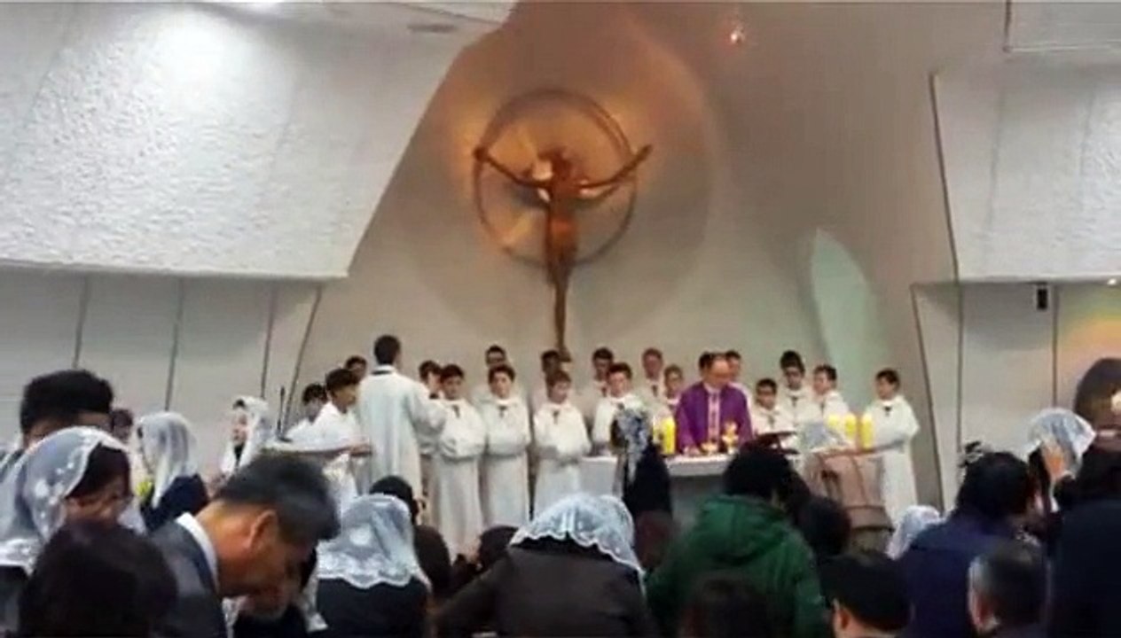 강일동성당   파리나무십자가소년합창단 방문(2015년12월06일)-5 - Daum 카페2