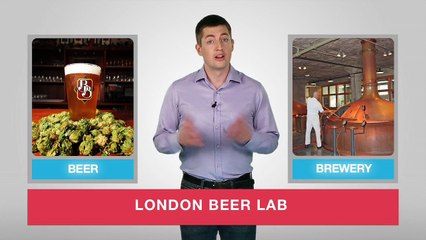 What did they say 41