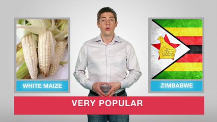 What did they say 46