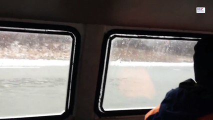 Мужики спасли собаку. После таких видео, приятно на душе)