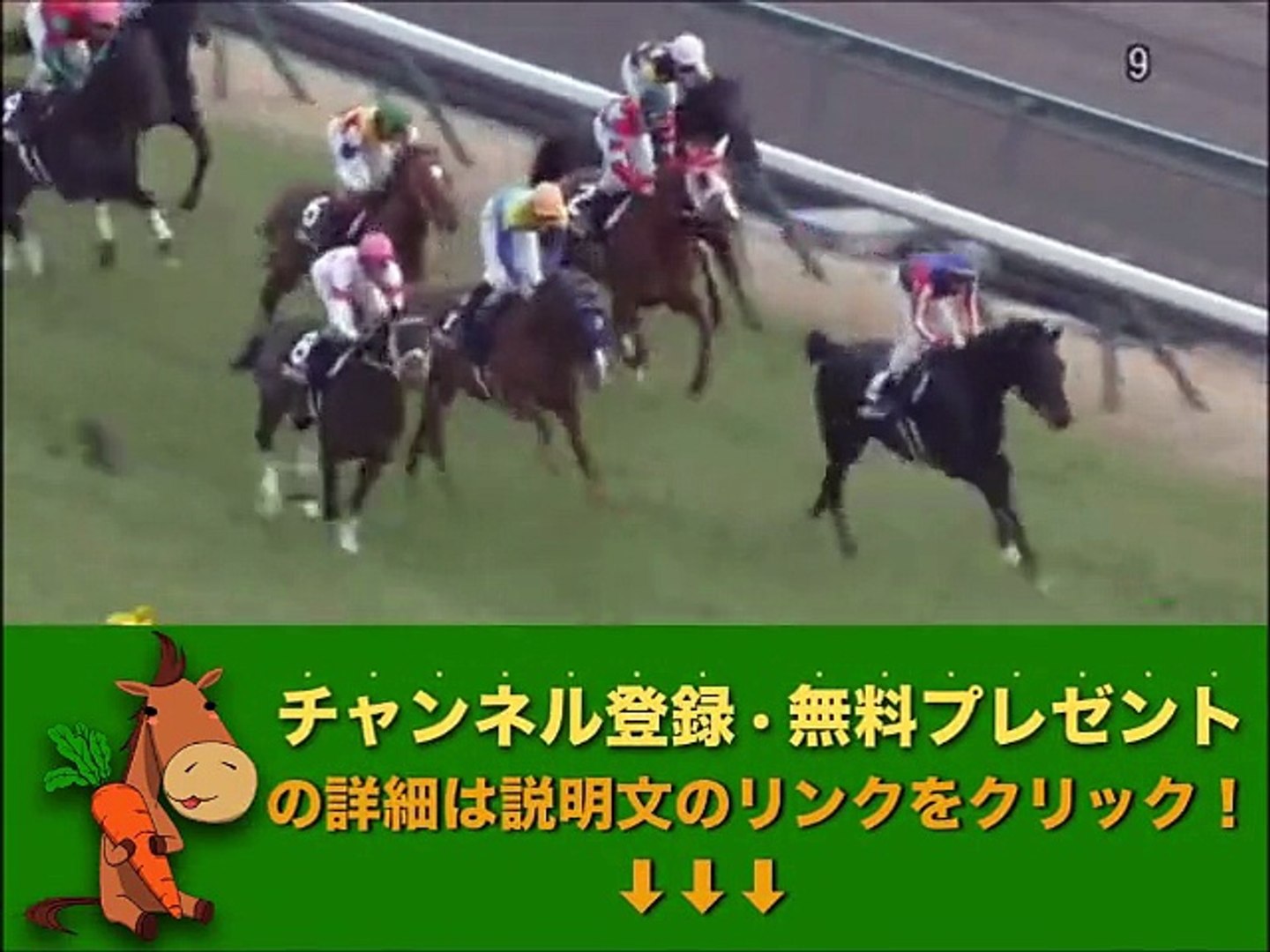 ⁣遠州灘特別 「競馬レース結果ハイライト」2015/12/13