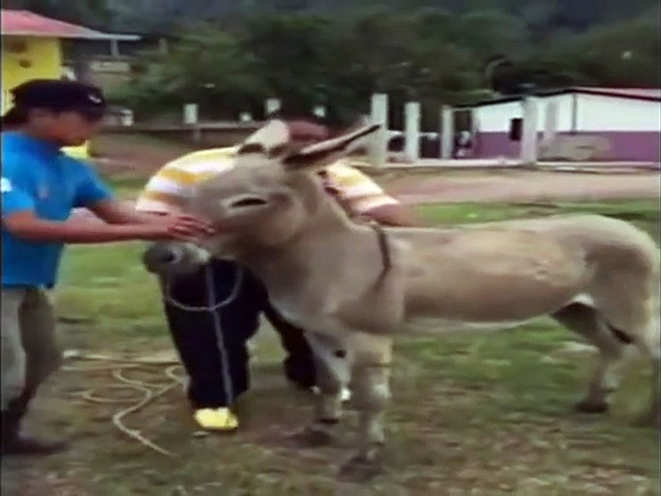 مقالب كوميديه مضحكة مقطع فيديو مضحك جدا