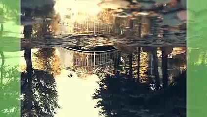 Облом невесте на свадебные фото