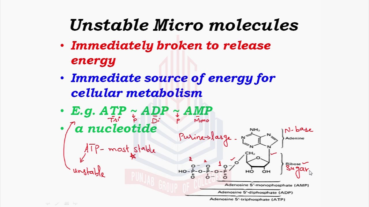 Unstable Micro Molecules & Importance of water