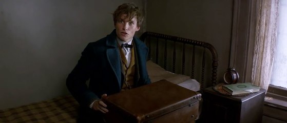 Fantastic Beasts and Where to Find Them - Official Trailer (HD)