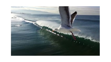 Shot on iPhone 6 by Araby P.