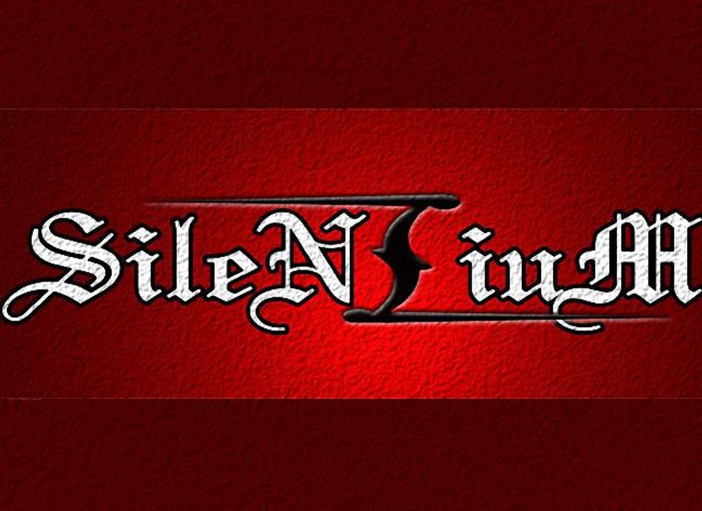 SILENZIUM The battle goes on (“Неба утреннего стяг“ cover)