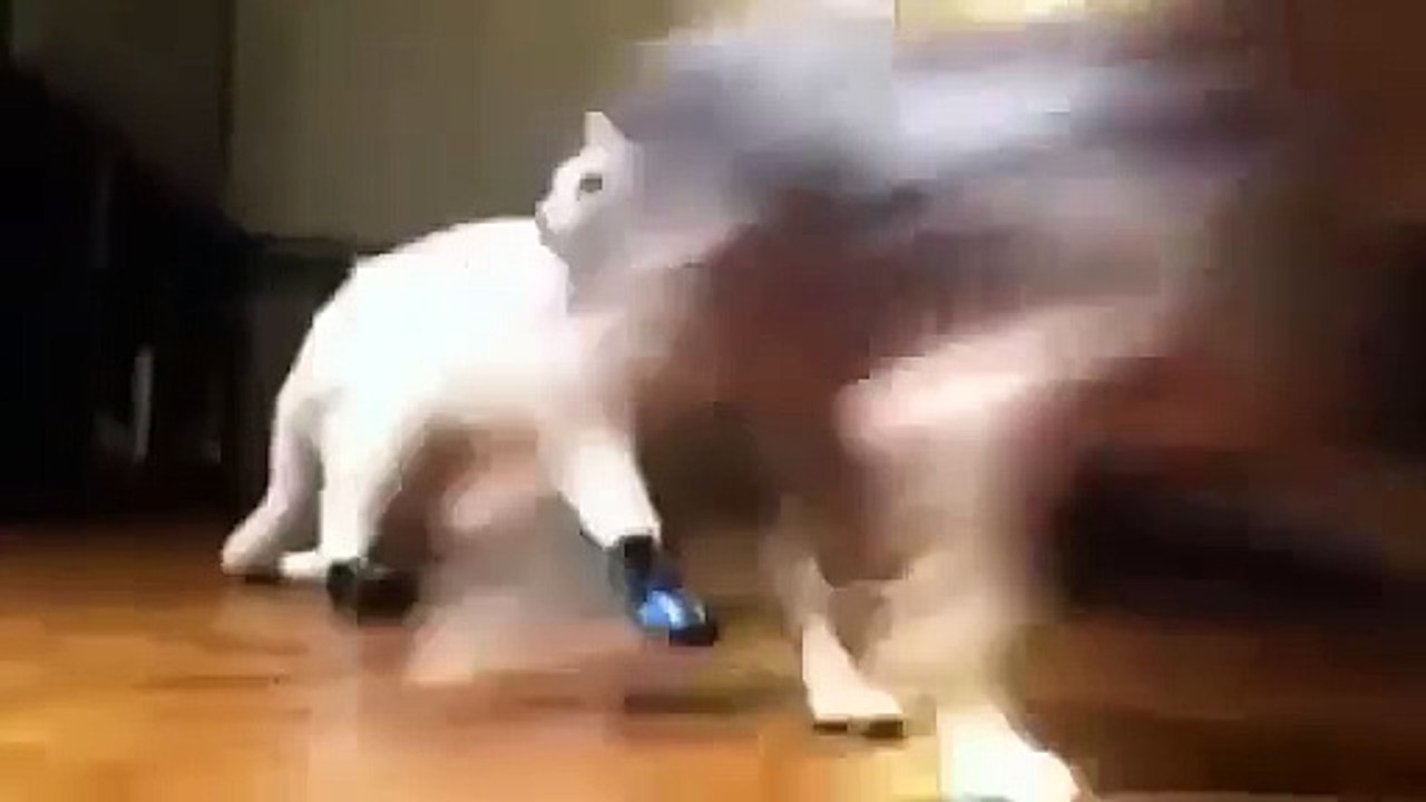 ブーツの小娘