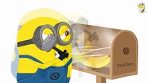 Minions Banana Mailbox ~ Funny Minions scene [HD]