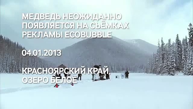 Неожиданный медведь. Самые разные смешные и прикольные ситуации
