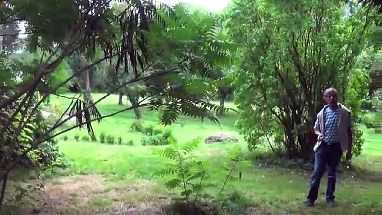 Cap Saint-Martin : la Maison d'Hélène à Cheny