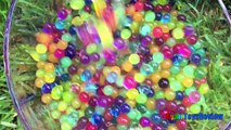 ORBEEZ POOL PARTY EGG SURPRISE TOYS in 1,000,000 ORBEEZ Shopkins Balloon Water fight Ryan