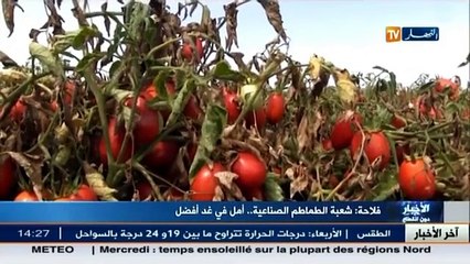 الأخبار الإقتصادية ليوم الثلاثاء 15 ديسمبر 2015