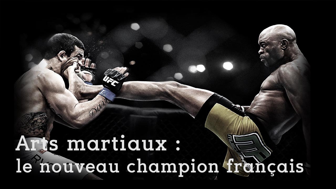 Arts martiaux : le nouveau champion français