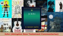 Download  John Abingdon New Testament Commentaries PDF Online