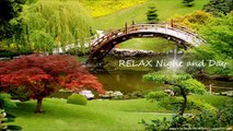 HEALING Music 3 HOURS Meditation, Sleep, Spa, Study, Zen, Yoga, Reiki, mind focus