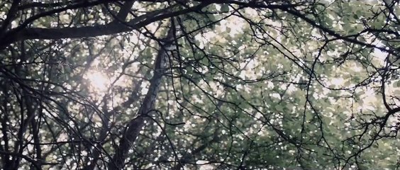 SECOND COMING Trailer (Idris Elba DRAMA)