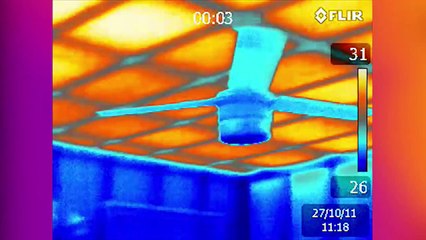 Find more termites with Thermal Imaging.