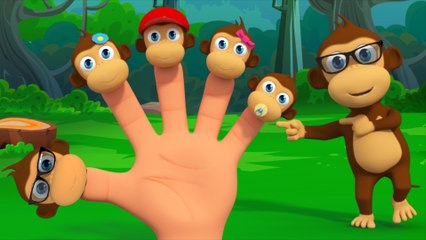 Monkeys Finger Family - Nursery Rhymes From Kids Tv