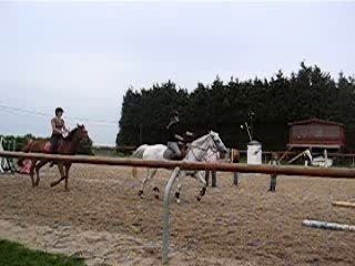 Même exercice...au trot assis