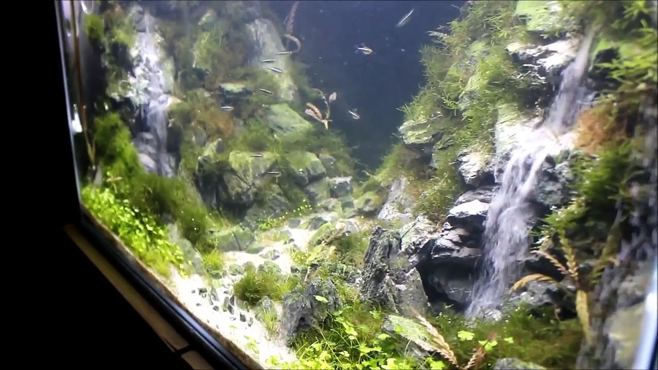 Cascades dans un aquarium