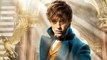 Fantastic Beasts and Where to Find Them Official Announcement Trailer (2015) - HD