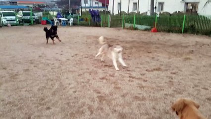 ど화성출장안마 ØIO↔9749↔7899 Æ 화성출장마사지 Æ 망우동출장안마 논현동출장안마