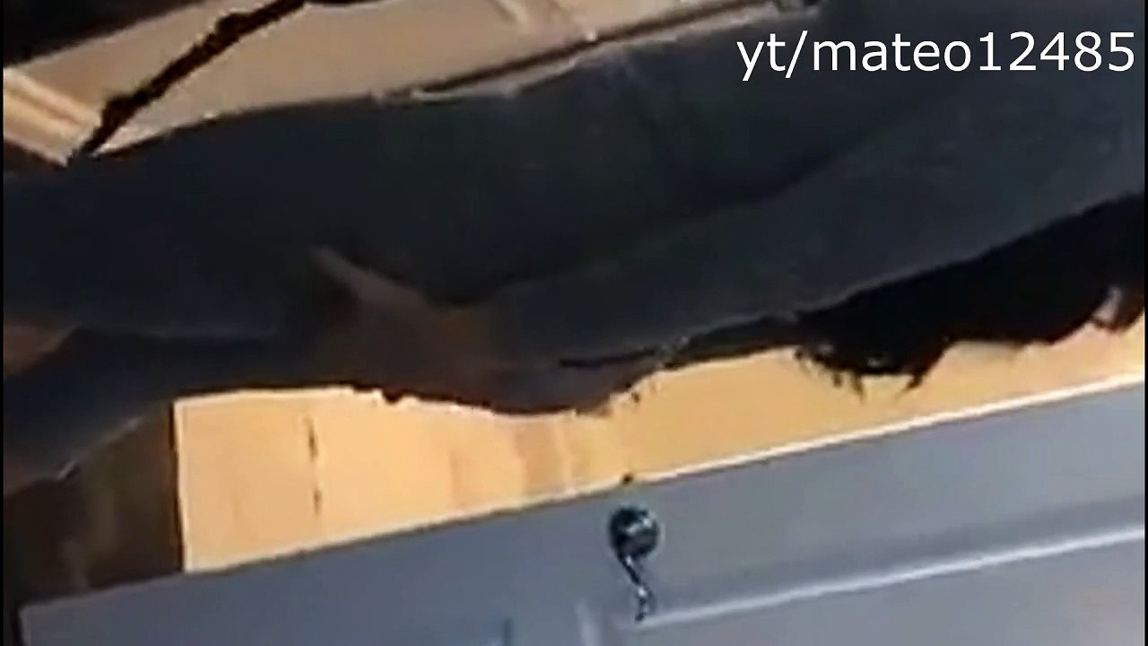 Kylie Jenner Shaking Her Ass in Deleted Snapchat Story December 2015 - Kylie Jenner Booty Shake