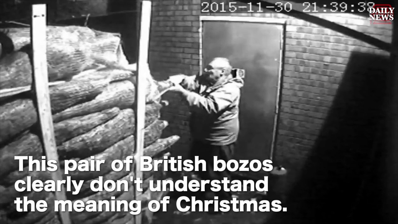 Thieves steal nearly 200 Christmas trees video Dailymotion