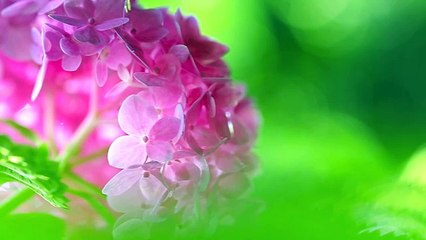 Méditation de respiration de la liberté de lesprit
