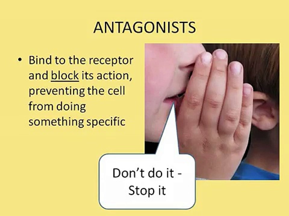 Principles_of_Pharmacology