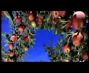 Fruits and Vegetables of Pakistan