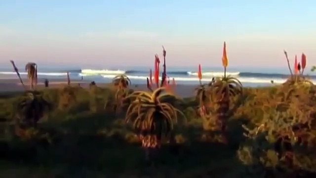 Great White Shark Attacks on Humans Caught On Tape 480p