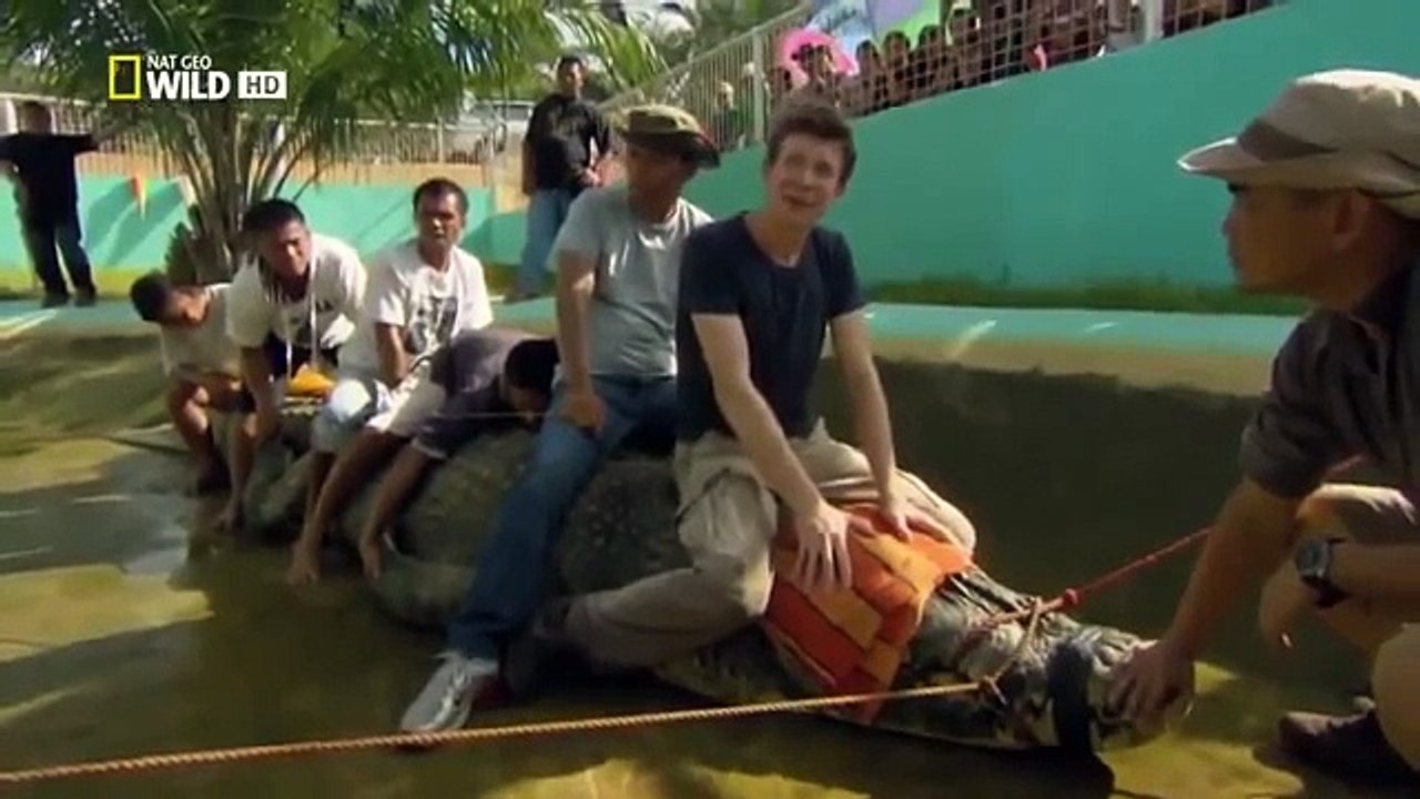 Wild animal Crocodiles Wildlife Animals Documentary || Animals Planet Discovery